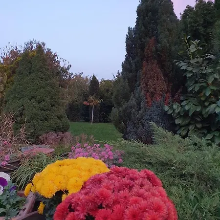 Afrodita Lägenhet *