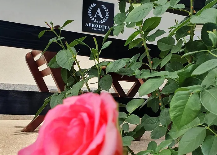 Afrodita Apartamento *